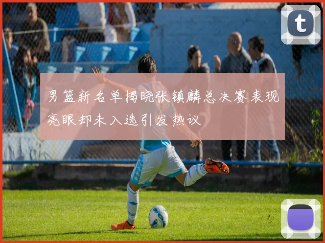 男篮新名单揭晓张镇麟总决赛表现亮眼却未入选引发热议